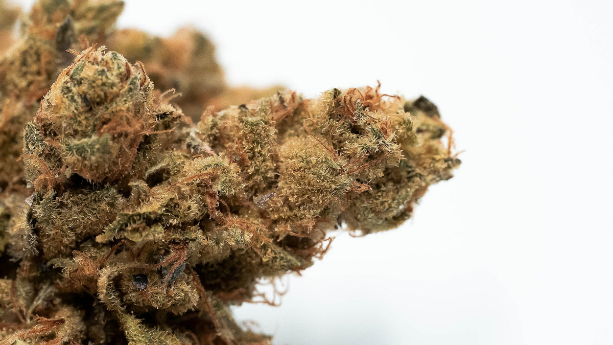 How to Spot Moldy Weed — Bong