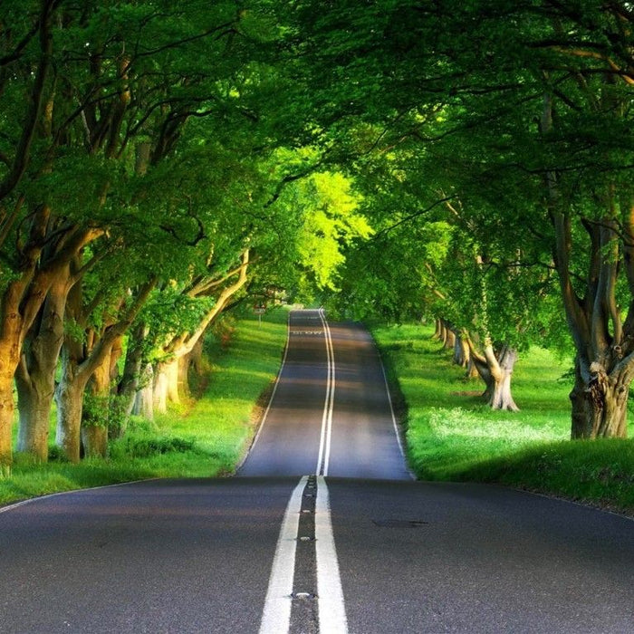 What’s your favorite way of smoking up?