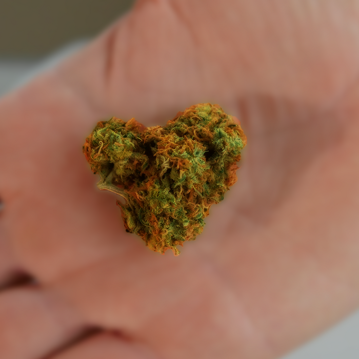 Spice Up Your Valentine's Day: Cannabis Accessories for a Memorable Celebration