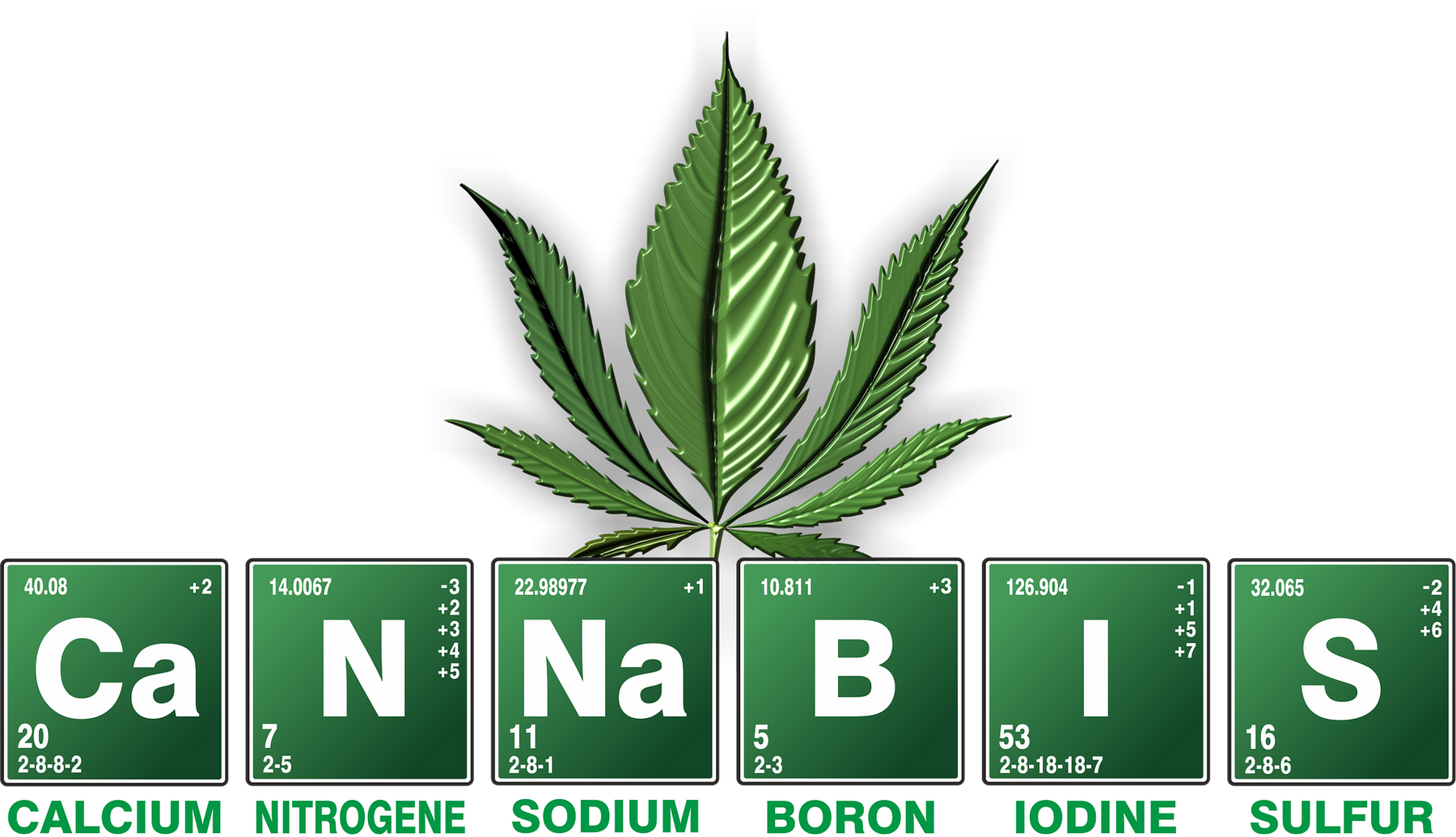 beginner guide cannabis