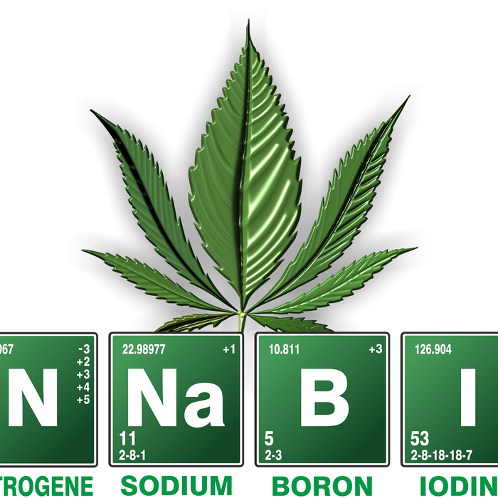 beginner guide cannabis