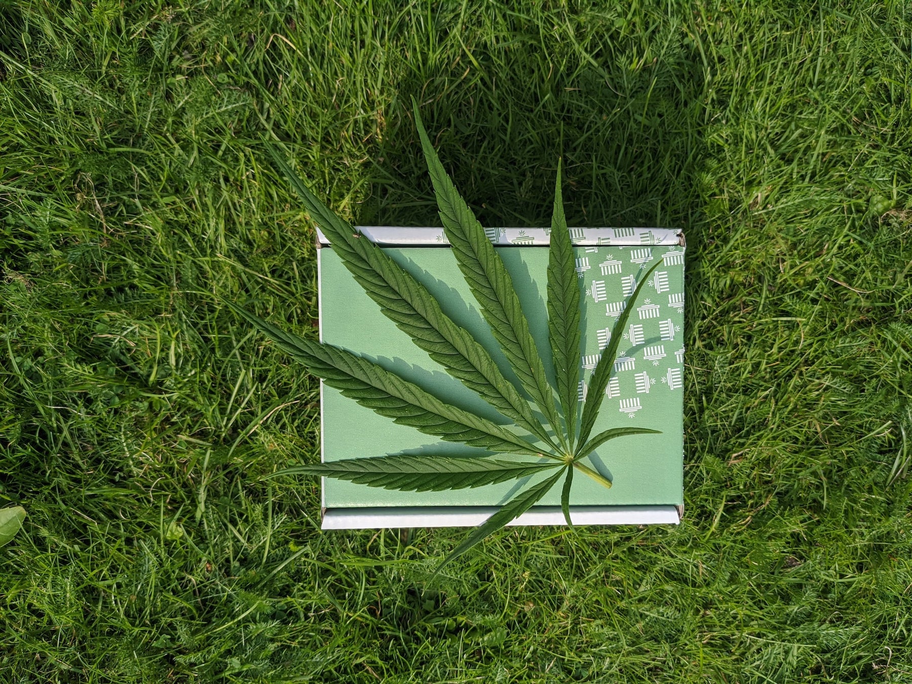 Summer Breeze & Cannabis Bliss: Savoring the Last of the Warm Days