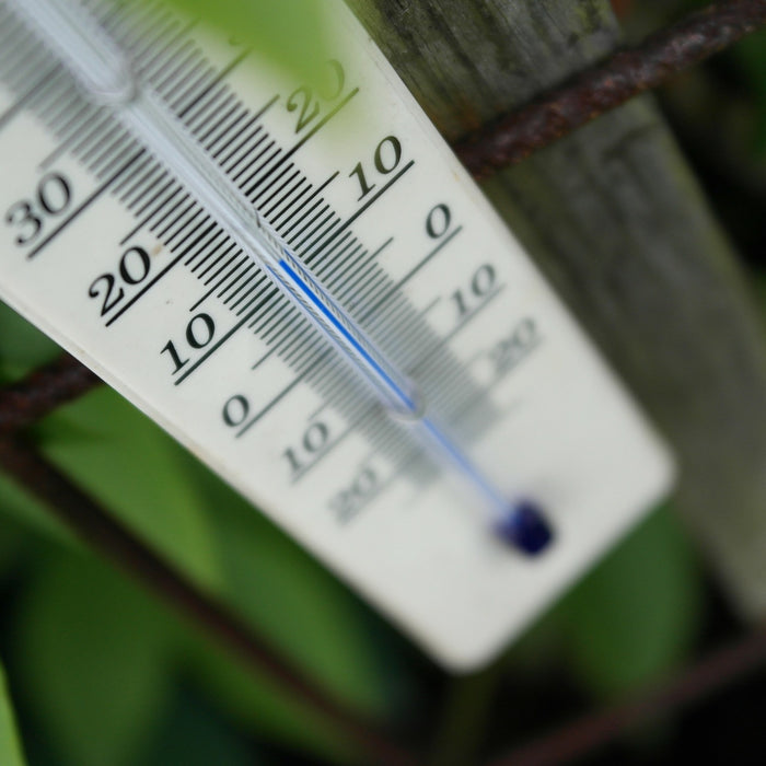 bong water temperature