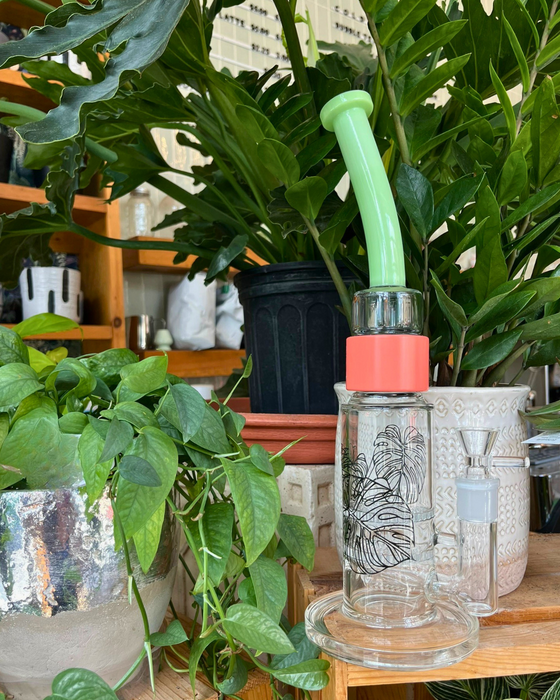 Monstera Bent Big Honeycomb