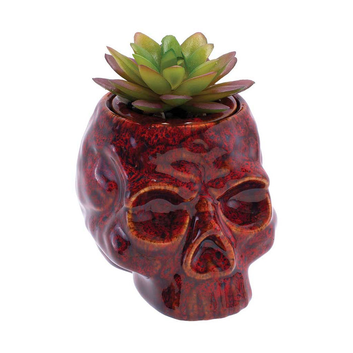 SKULL PLANTER STASH JAR