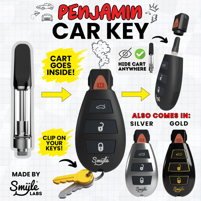 Car Key Penjamin Discreet 510 Battery