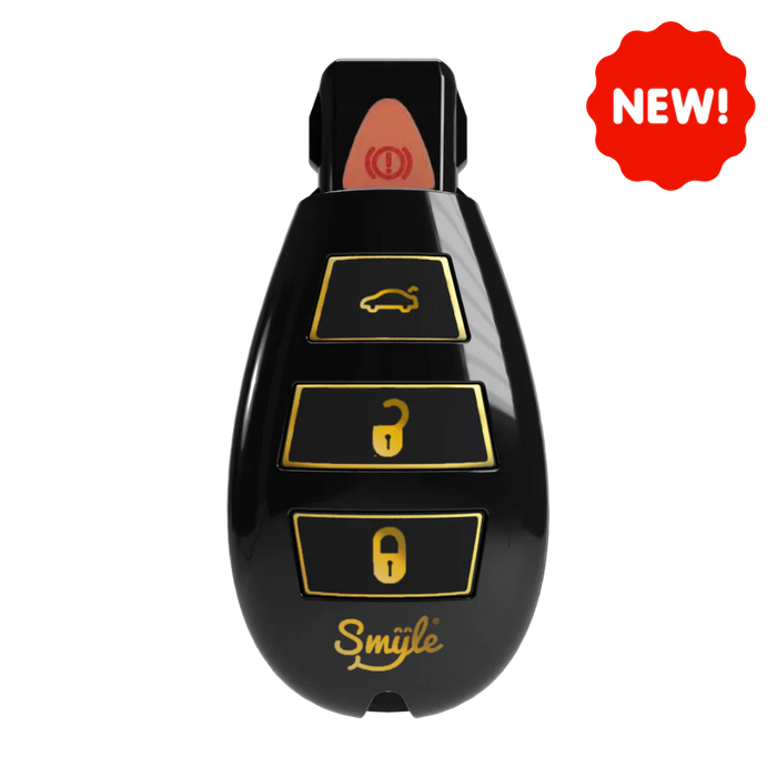 Car Key Penjamin Discreet 510 Battery