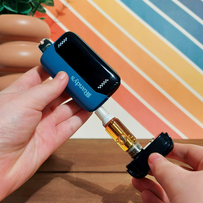 Randy's Inspo Max 510 Battery