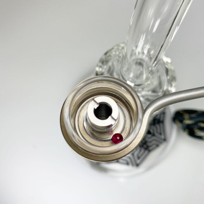 Ruby Terp Pearl 3-Pack