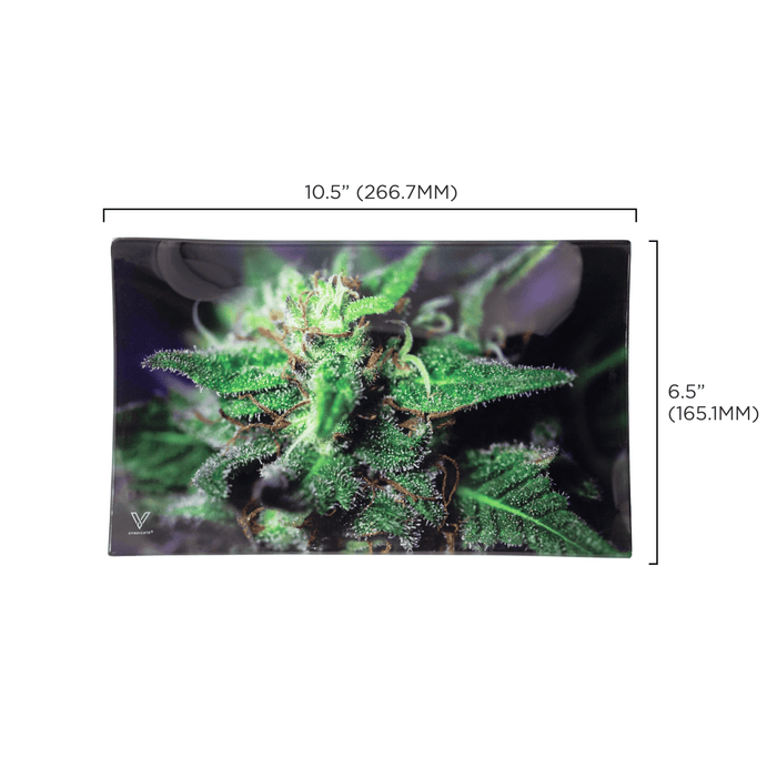 Blue Dream Glass Rollin' Tray