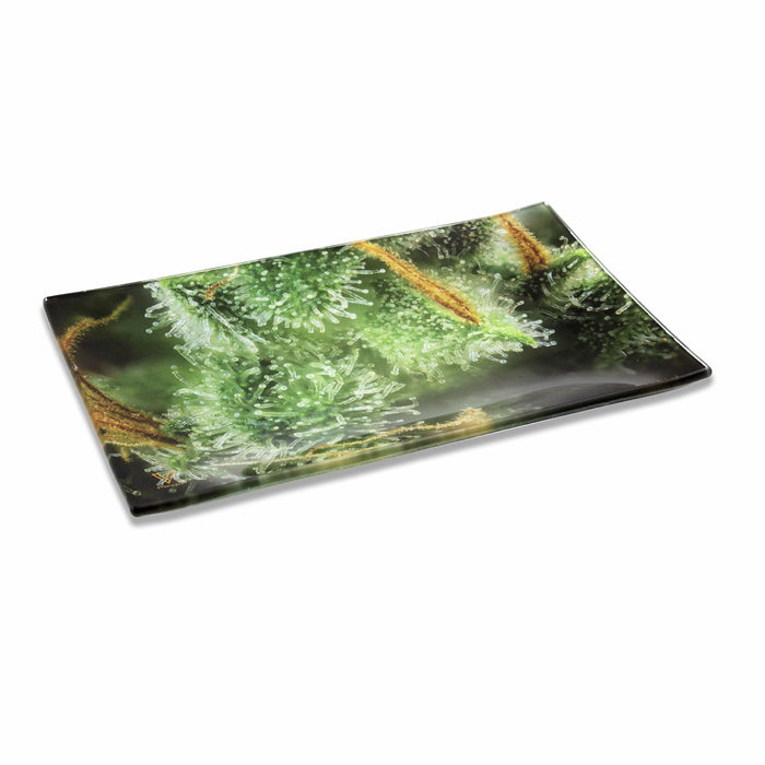 Tricomb Jungle Glass Tray