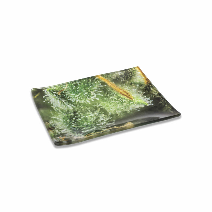 Tricomb Jungle Glass Tray