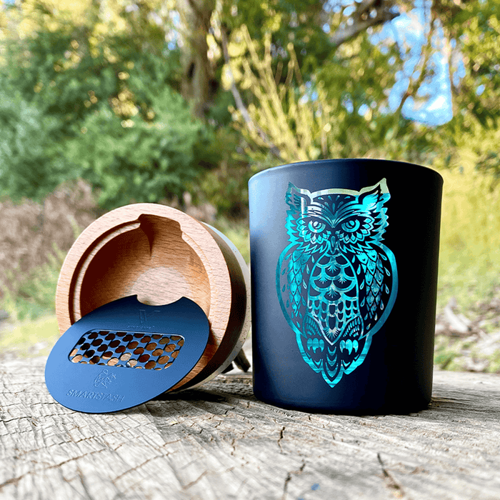 Owllusion Turquoise SoleStash