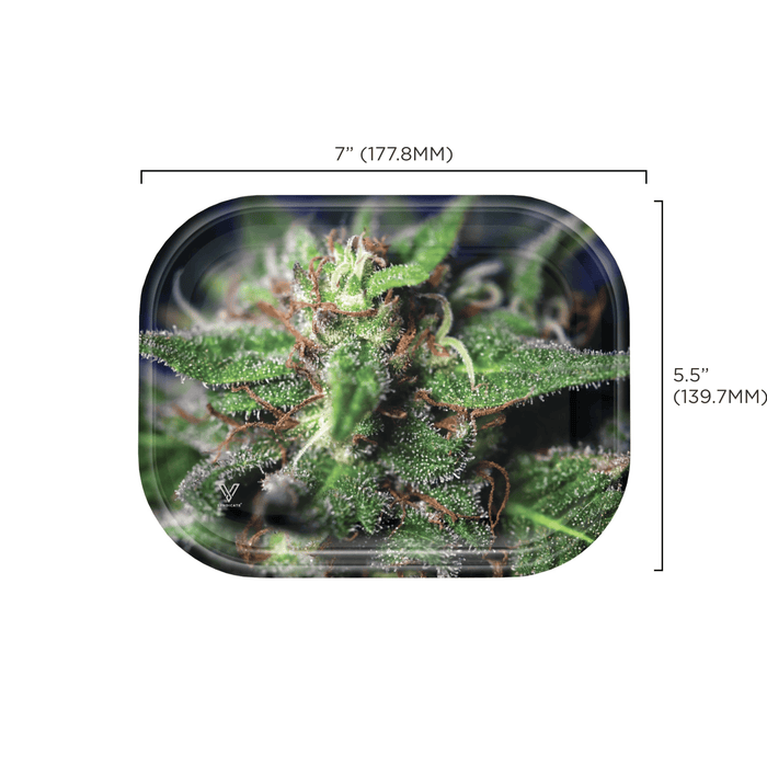 Blue Dream Metal Rollin' Tray