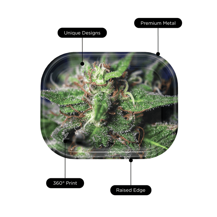 Blue Dream Metal Rollin' Tray