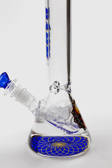 9.5" DANK beaker glass water bong (Wide / Skull)